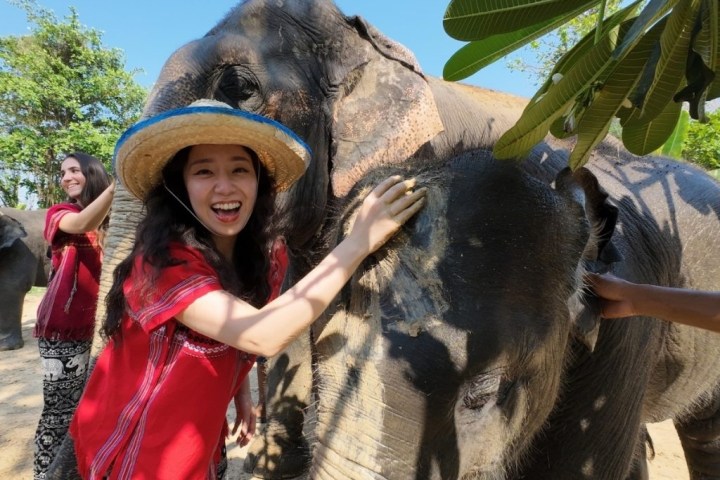 Two people petting elephants at a park under a clear blue sky.