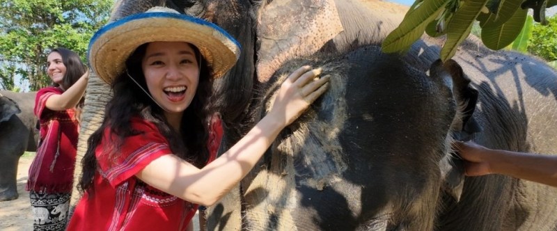 Two people petting elephants at a park under a clear blue sky.