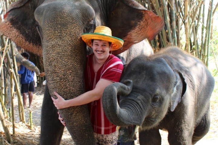 Person in a straw hat hugs an adult elephant with a baby elephant nearby among trees.