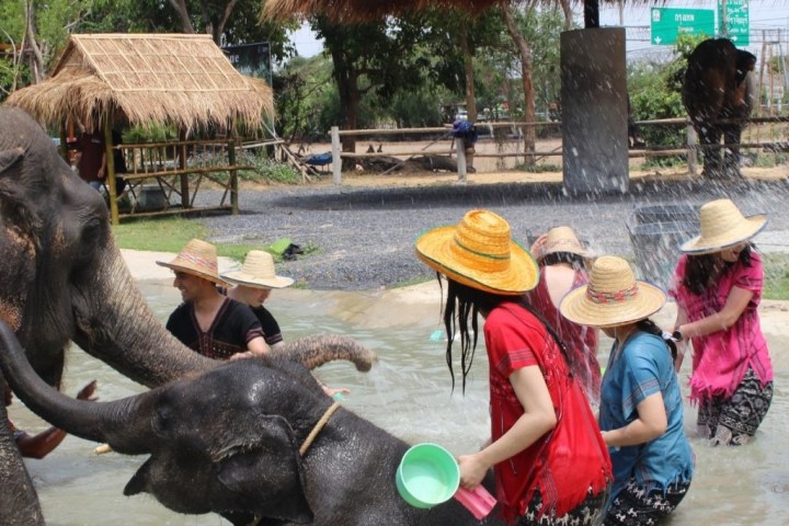 People bathing elephants in a park with straw hats and colorful clothes.