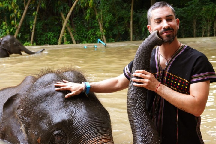 Man in a pond smiling while touching an elephant's trunk and head, surrounded by trees.