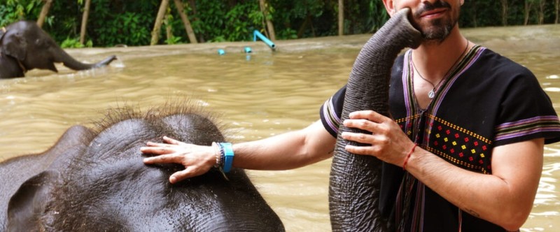 Man in a pond smiling while touching an elephant's trunk and head, surrounded by trees.