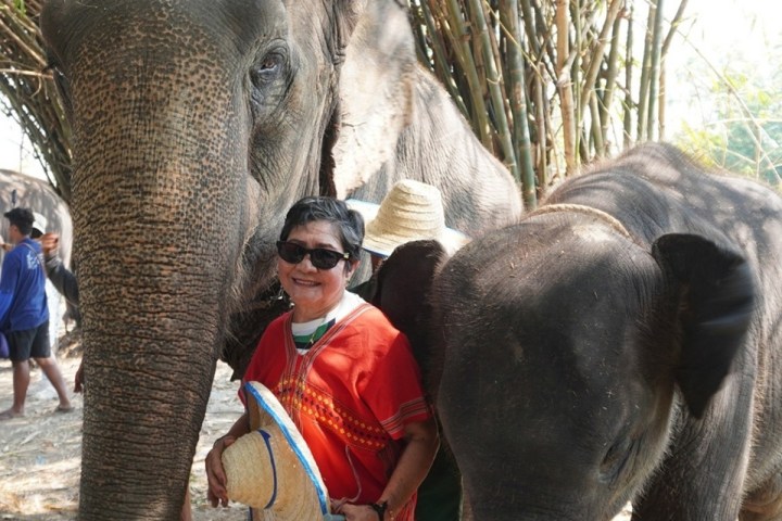 Person in red shirt smiling with two elephants at a park.