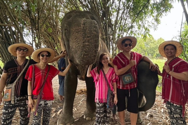Group of five people in straw hats standing with an elephant in a bamboo grove.