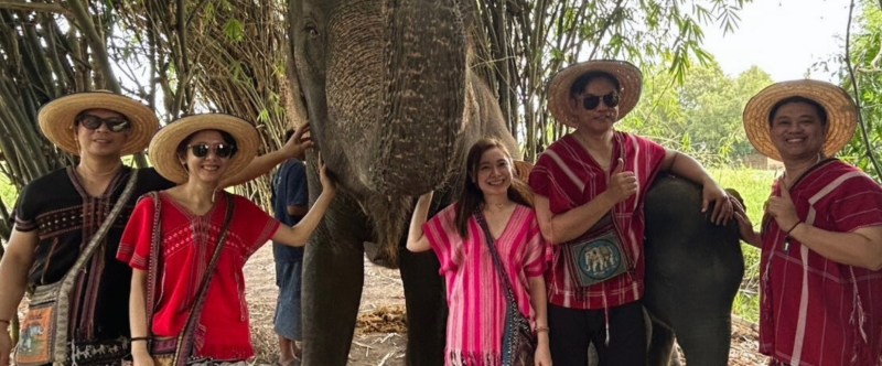 Group of five people in straw hats standing with an elephant in a bamboo grove.