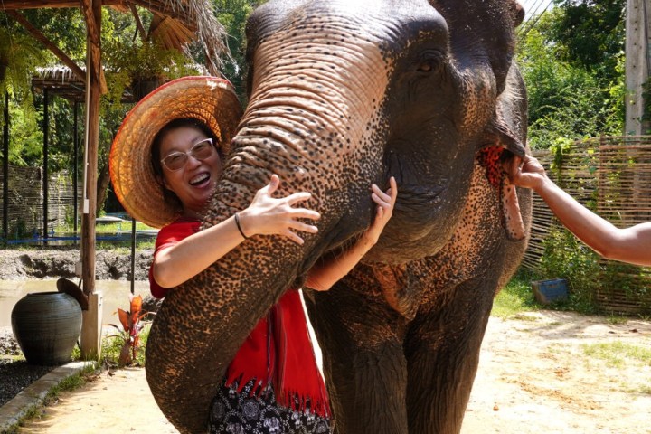 Smiling person in straw hat hugging an elephant's trunk in a sunny park setting.