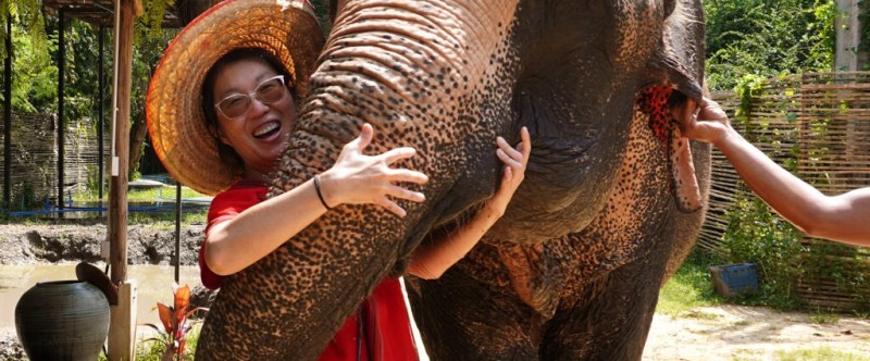 Smiling person in straw hat hugging an elephant's trunk in a sunny park setting.
