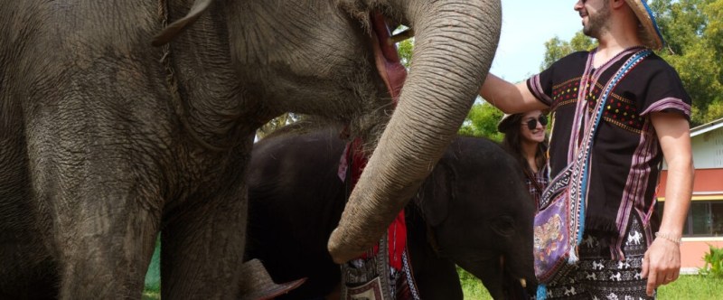 Person in hat touching an elephant's trunk while others stand nearby.