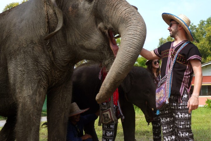 Man in hat petting an elephant while others observe at an elephant park.