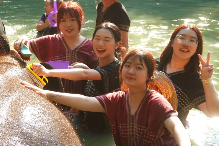 Group of people bathing an elephant in a river, smiling and holding brushes and buckets.