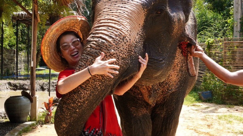 Person hugging an elephant's trunk while another person touches its ear outdoors.