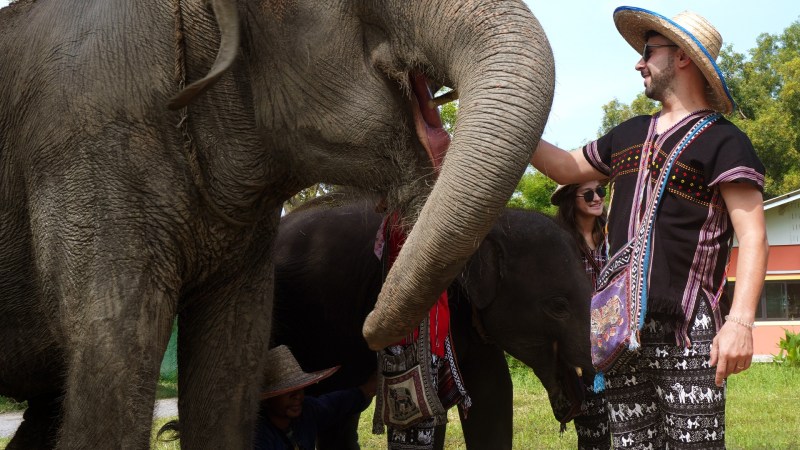 People interacting with elephants at Bangkok Elephant Park on a sunny day.