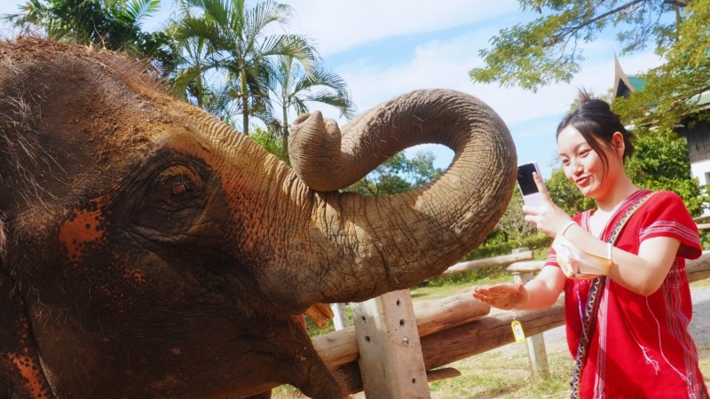 Woman in red shirt taking selfie with an elephant at a park.