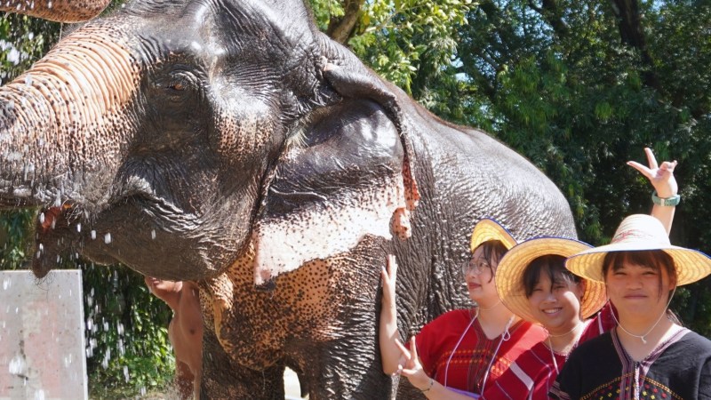 People in hats beside an elephant spraying water at Bangkok Elephant Park.