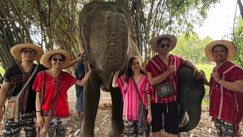 Five people in straw hats stand with an elephant under trees at a park.