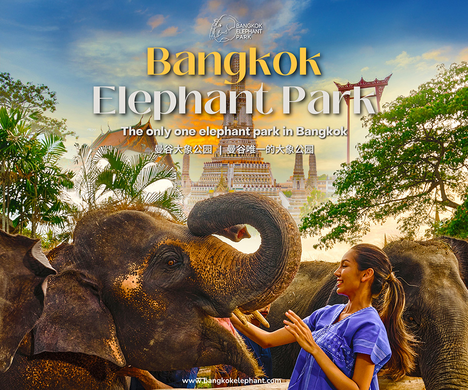 Woman in blue petting an elephant in front of Bangkok Elephant Park sign with temple background.